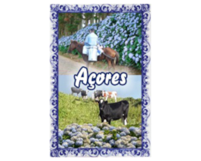 Fotolito magnético motivo Açores