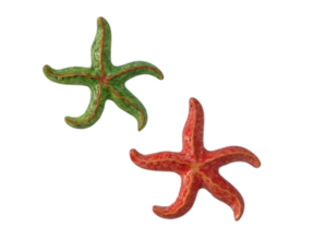 Estrela do mar decorativa em faiança pintada à mão