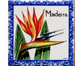Azulejo decorado 10x10 cm motivo estrelícia
