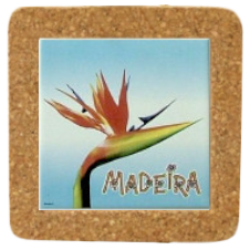 Azulejo decorado 10x10 cm com base em cortiça motivo estrelícia