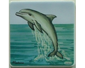 Azulejo decorado Golfinho 10x10cm