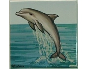 Azulejo decorado Golfinho 15X15 cm