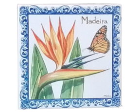 Azulejo decorado Estrelícia 15*15 cm